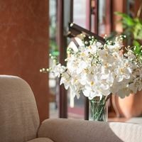 ყველა preview