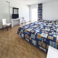 ნომრები preview