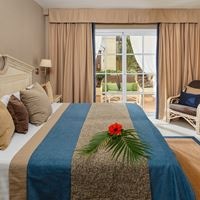 ნომრები preview