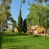 ყველა preview