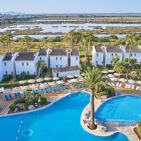 აუზები preview