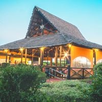 ყველა preview