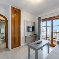 ნომრები preview