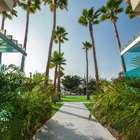 ყველა preview