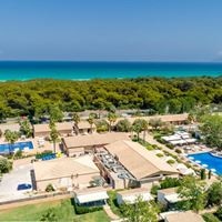 ყველა preview