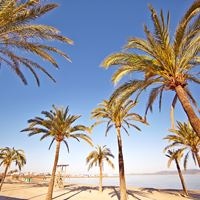 პლაჟი preview