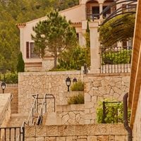 ნომრები preview