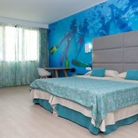 ნომრები preview