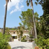 ყველა preview