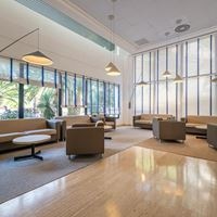 ბარი preview