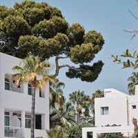 ყველა preview