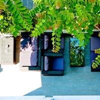 ბარი preview