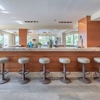 ბარი preview