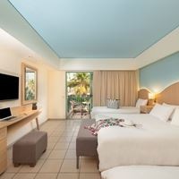 ნომრები preview