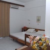 ნომრები preview