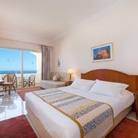 ნომრები preview