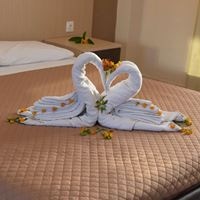 ნომრები preview