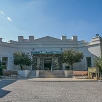 ყველა preview