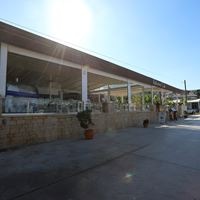 ყველა preview