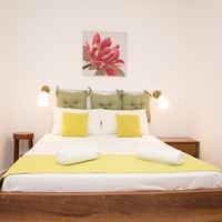 ნომრები preview