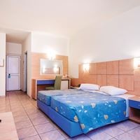 ნომრები preview