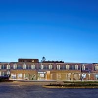 ყველა preview