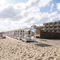 ყველა preview