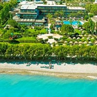 ყველა preview