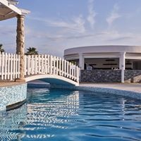 ბარი preview