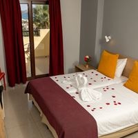 ნომრები preview