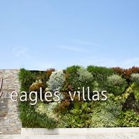 ყველა preview