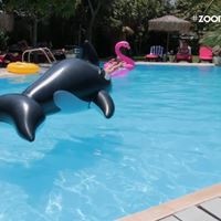 აუზები preview