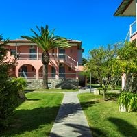 ყველა preview