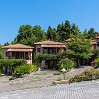 ყველა preview