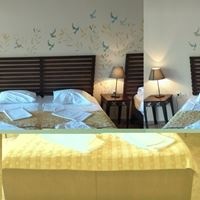 ნომრები preview