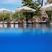 აუზები preview