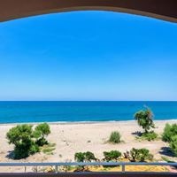 ნომრები preview