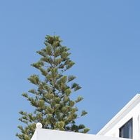 ყველა preview