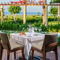 რესტორანი preview