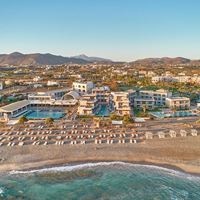 ყველა preview