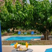 ნომრები preview