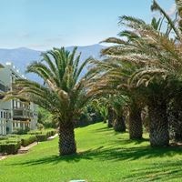 ყველა preview