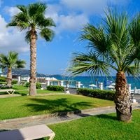 ნომრები preview