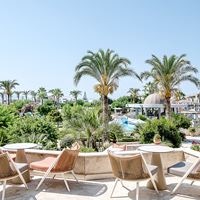 ბარი preview