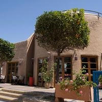 ყველა preview