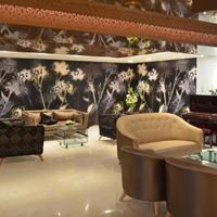 ყველა preview