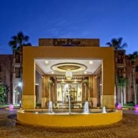 ყველა preview