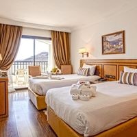 ნომრები preview