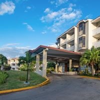 ყველა preview