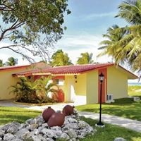 ყველა preview